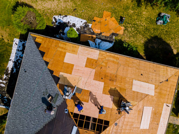 Best Commercial Roofing Services  in Springdale, AR